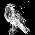 Born to be free II